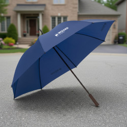 GUARDA-CHUVA - RECECPTION