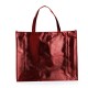 18537 SACOLA TNT METALIZADA